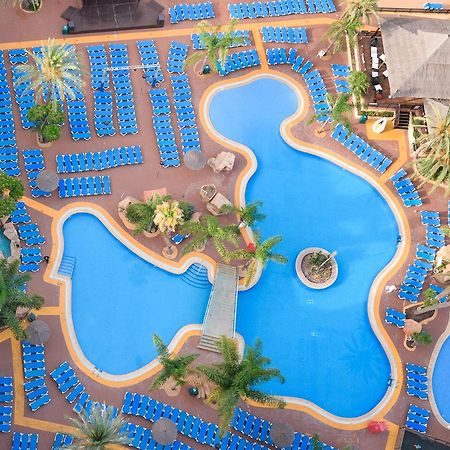 Medplaya Hotel Flamingo Oasis Benidorm Ngoại thất bức ảnh